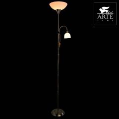 Торшер с подсветкой Arte Lamp Duetto A9569PN-2AB | фото 3